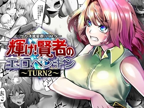 輝け！賢者のエロペンギン～TURN2～