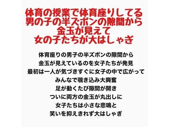 体育の授業で体育座りしてる男の子の半ズボンの隙間から金玉が見えて女の子たちが大はしゃぎ
