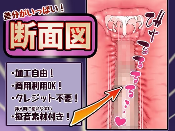 差分がいっぱい！断面図