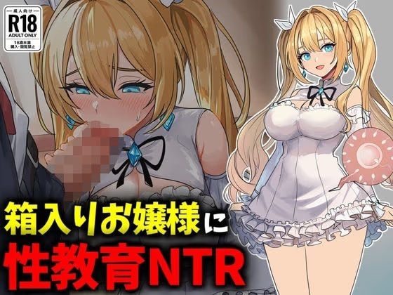 箱入りお嬢様に性教育NTR