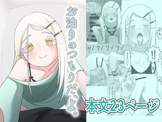 お泊りのつもりだ、よ。