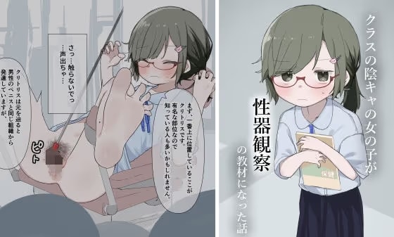 クラスの陰キャの女の子が性器観察の教材になった話