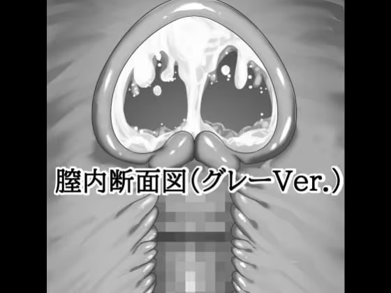 膣内断面図素材(グレーVer.)