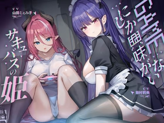 ゲームにしか興味がないサキュバスの姫【KU100】