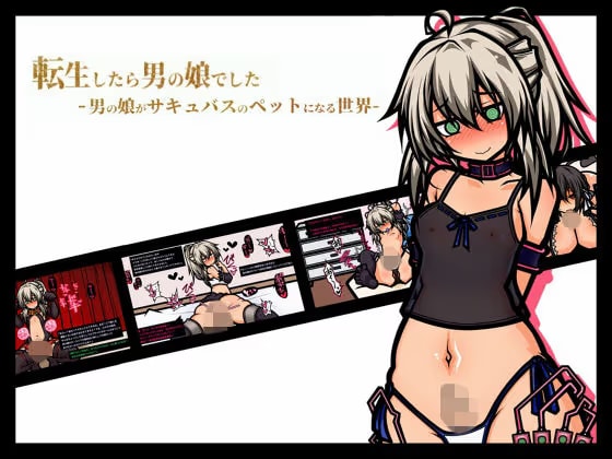 転生したら男の娘でした-男の娘がサキュバスのペットになる世界-
