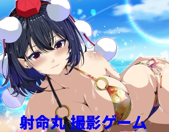 射命丸 撮影ゲーム