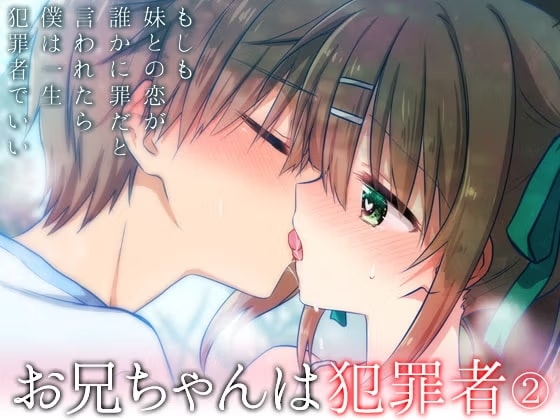 お兄ちゃんは犯罪者総集編2