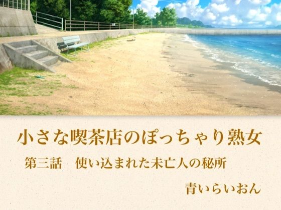 【官能小説】小さな喫茶店のぽっちゃり熟女  第三話  使い込まれた未亡人の秘所