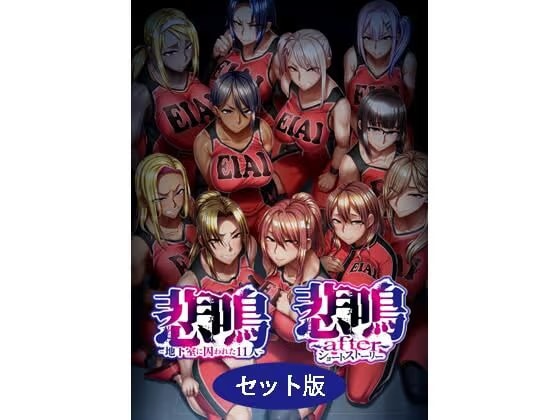 悲鳴 〜after〜 ショートストーリー セット版