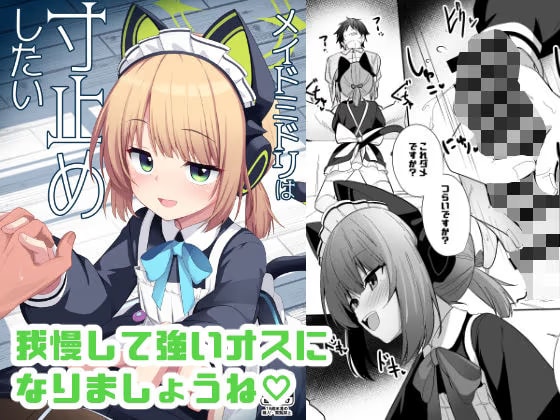 メイドミドリは寸止めしたい